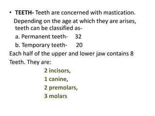 • TEETH- Teeth are concerned with mastication.
Depending on the age at which they are arises,
teeth can be classified as-
a. Permanent teeth- 32
b. Temporary teeth- 20
Each half of the upper and lower jaw contains 8
Teeth. They are:
2 incisors,
1 canine,
2 premolars,
3 molars
 