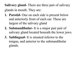 Salivary gland- There are three pair of salivary
glands in mouth. They are:
1. Parotid- One on each side is present below
and anteriorly front of each ear. These are
largest of the salivary gland
2. Submandibular- It is a major pair pair of
salivary gland located beneath the lower jaws.
3. Sublingual- It is situated inferior to the
tongue, and anterior to the submandibular
glands.
 
