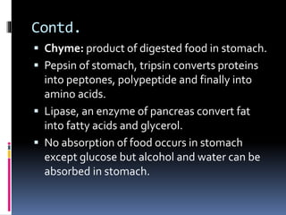 Contd.
 Chyme: product of digested food in stomach.
 Pepsin of stomach, tripsin converts proteins
into peptones, polypeptide and finally into
amino acids.
 Lipase, an enzyme of pancreas convert fat
into fatty acids and glycerol.
 No absorption of food occurs in stomach
except glucose but alcohol and water can be
absorbed in stomach.
 
