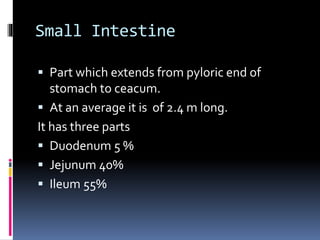 Small Intestine
 Part which extends from pyloric end of
stomach to ceacum.
 At an average it is of 2.4 m long.
It has three parts
 Duodenum 5 %
 Jejunum 40%
 Ileum 55%
 