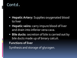 Contd.
 Hepatic Artery: Supplies oxygenated blood
to liver
 Hepatic veins: carry impure blood of liver
and drain into inferior vena cava.
 Bile ducts: secretion of bile is carried out by
bile ducts made up of binary calculi.
Functions of liver
Synthesis and storage of glycogen.
 