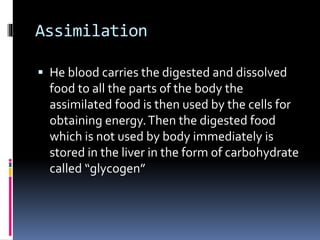 Assimilation
 He blood carries the digested and dissolved
food to all the parts of the body the
assimilated food is then used by the cells for
obtaining energy.Then the digested food
which is not used by body immediately is
stored in the liver in the form of carbohydrate
called “glycogen”
 