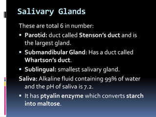Salivary Glands
These are total 6 in number:
 Parotid: duct called Stenson’s duct and is
the largest gland.
 Submandibular Gland: Has a duct called
Whartson’s duct.
 Sublingual: smallest salivary gland.
Saliva: Alkaline fluid containing 99% of water
and the pH of saliva is 7.2.
 It has ptyalin enzyme which converts starch
into maltose.
 