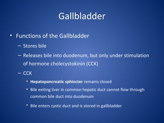 Digestive system Anatomy and physiology | PPT