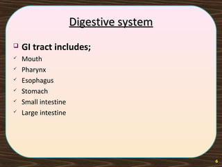 Digestive system | PPT