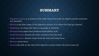 SUMMARY
• Digestive system is a system in the body where the foods are digest and the nutrients
are absorbed.
• Mouth is the first organ of the digestive system. It is where the food got chewed.
• Esophagus is a long tube that is a passage to stomach.
• Stomach is an organ that produces hydrochloric acid.
• Small Intestine absorbs all of the nutrients from the food.
• Large Intestine absorbs water from the food and forms feces.
• Rectum stores feces.
• Anus is the hole at the end of the digestive system where the feces come out.
 