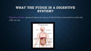 WHAT THE FUDGE IS A DIGESTIVE
SYSTEM?
• Digestive System- group of organs by means of which food is converted to a form the
cells can use.
 
