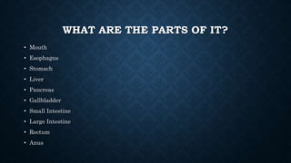 WHAT ARE THE PARTS OF IT?
• Mouth
• Esophagus
• Stomach
• Liver
• Pancreas
• Gallbladder
• Small Intestine
• Large Intestine
• Rectum
• Anus
 