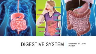 DIGESTIVE SYSTEM Presented By: Lerma
Pendon
 