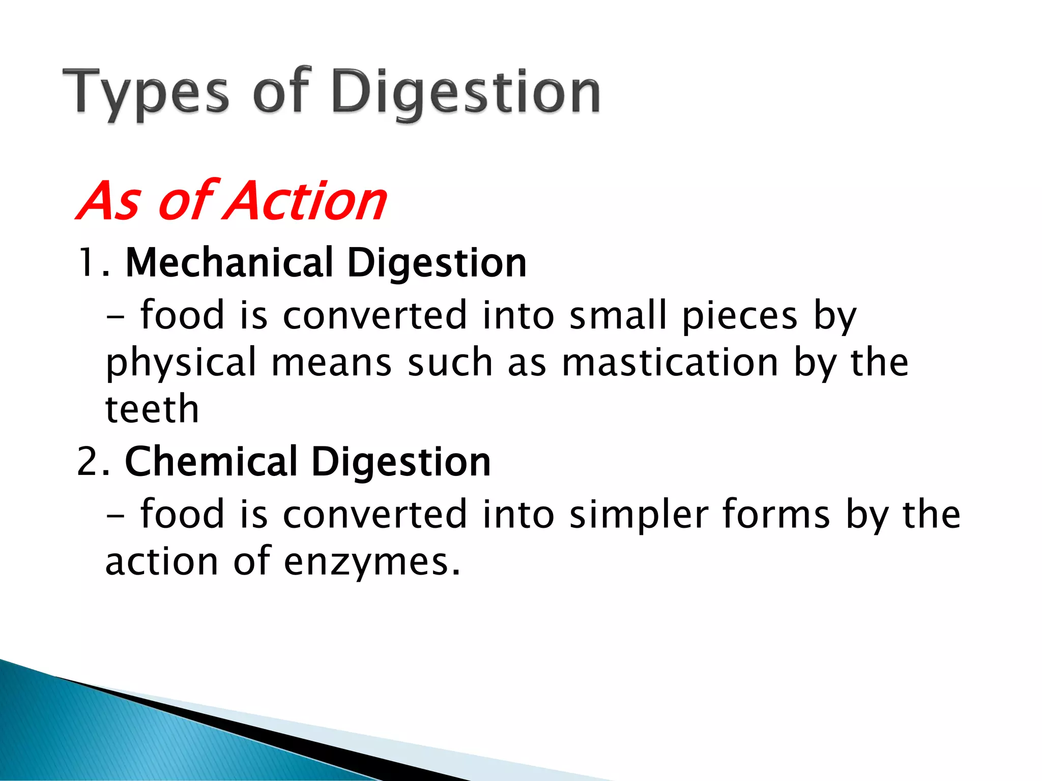 As of Action
1. Mechanical Digestion
- food is converted into small pieces by
physical means such as mastication by the
teeth
2. Chemical Digestion
- food is converted into simpler forms by the
action of enzymes.
 