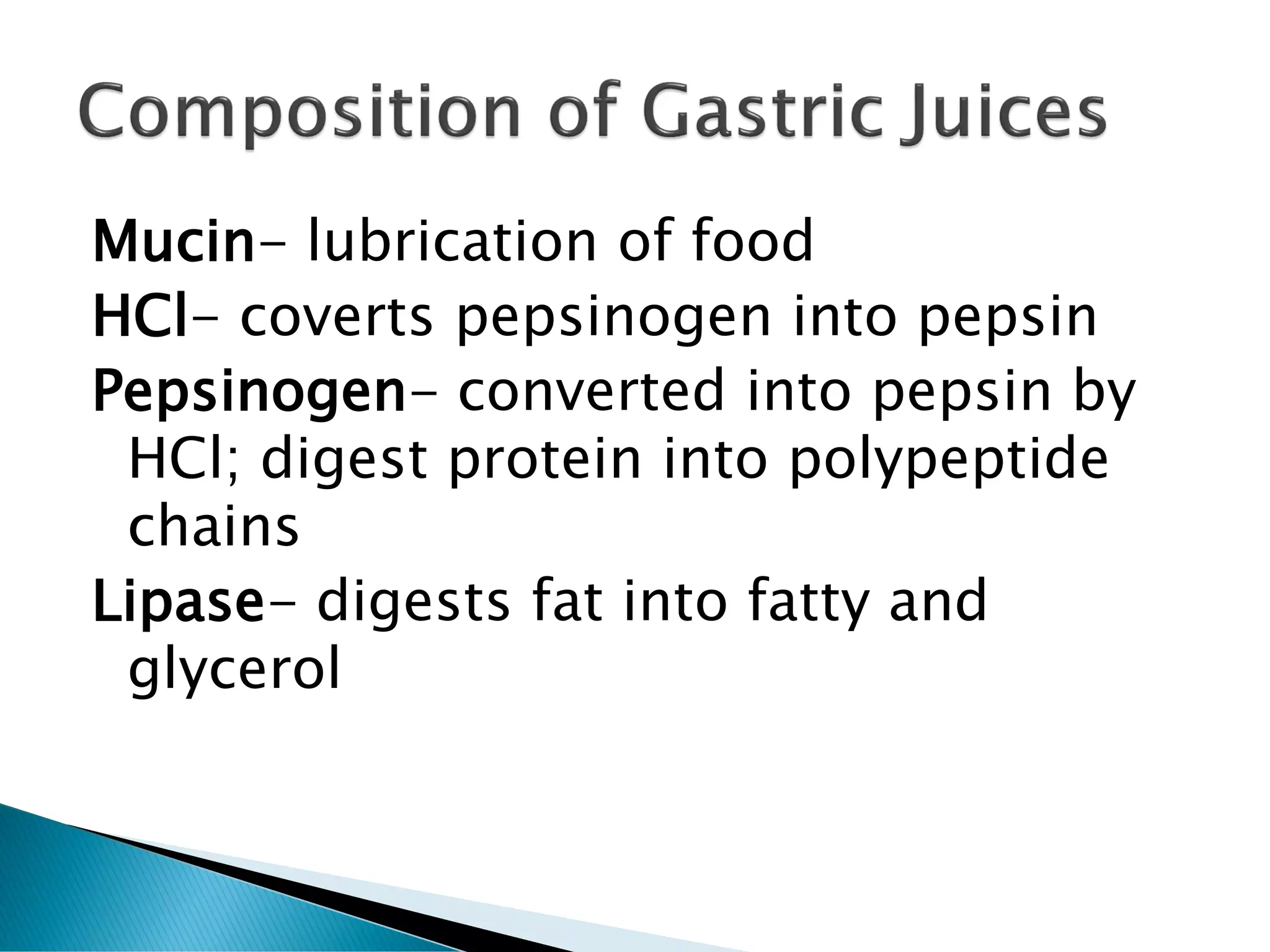 Mucin- lubrication of food
HCl- coverts pepsinogen into pepsin
Pepsinogen- converted into pepsin by
HCl; digest protein into polypeptide
chains
Lipase- digests fat into fatty and
glycerol
 