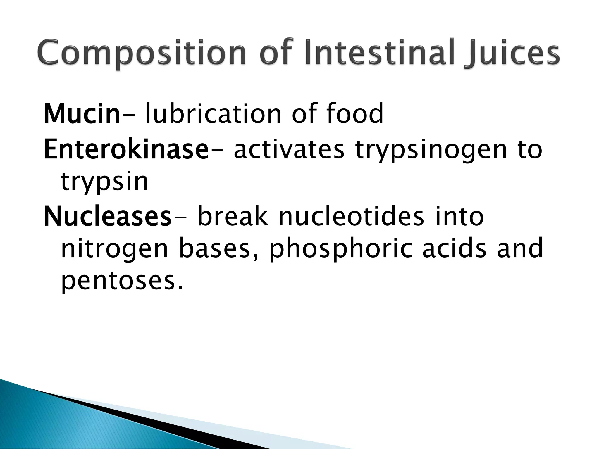 Mucin- lubrication of food
Enterokinase- activates trypsinogen to
trypsin
Nucleases- break nucleotides into
nitrogen bases, phosphoric acids and
pentoses.
 