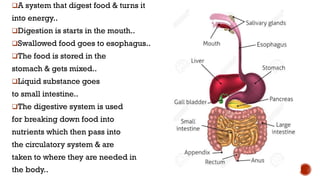 Digestion, physiology, the processing of food in the gut