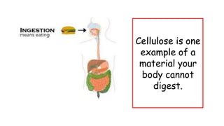 Cellulose is one
example of a
material your
body cannot
digest.
 