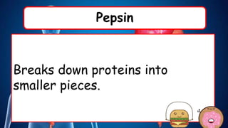 Pepsin
Breaks down proteins into
smaller pieces.
 
