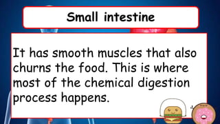 Small intestine
It has smooth muscles that also
churns the food. This is where
most of the chemical digestion
process happens.
 