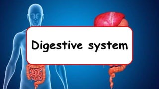 Digestive system
 