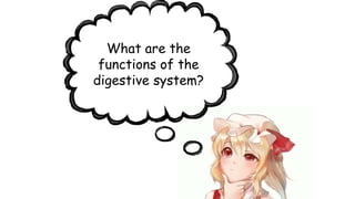 What are the
functions of the
digestive system?
 