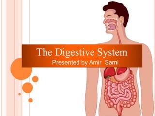 The Digestive System
Presented by Amir Sami
 