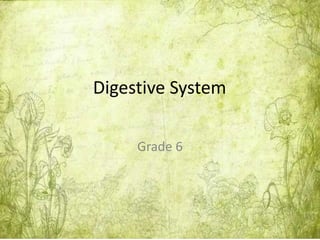 Digestive System
Grade 6
 