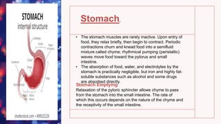 Stomach,
• The stomach muscles are rarely inactive. Upon entry of
food, they relax briefly, then begin to contract. Periodic
contractions churn and knead food into a semifluid
mixture called chyme; rhythmical pumping (peristaltic)
waves move food toward the pylorus and small
intestine.
• The absorption of food, water, and electrolytes by the
stomach is practically negligible, but iron and highly fat-
soluble substances such as alcohol and some drugs
are absorbed directly.
Stomach Emptying
Relaxation of the pyloric sphincter allows chyme to pass
from the stomach into the small intestine. The rate of
which this occurs depends on the nature of the chyme and
the receptivity of the small intestine.
 