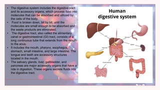 • The digestive system includes the digestive tract
and its accessory organs, which process food into
molecules that can be absorbed and utilized by
the cells of the body.
• Food is broken down, bit by bit, until the
molecules are small enough to be absorbed and
the waste products are eliminated.
• The digestive tract, also called the alimentary
canal or gastrointestinal (GI) tract, consists of a
long continuous tube that extends from the mouth
to the anus.
• It includes the mouth, pharynx, esophagus,
stomach, small intestine, and large intestine. The
tongue and teeth are accessory structures
located in the mouth.
• The salivary glands, liver, gallbladder, and
pancreas are major accessory organs that have a
role in digestion. These organs secrete fluids into
the digestive tract.
 