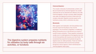 The digestive system prepares nutrients
for utilization by body cells through six
activities, or functions
Chemical Digestion
The complex molecules of carbohydrates, proteins, and
fats are transformed by chemical digestion into smaller
molecules that can be absorbed and utilized by the cells.
Chemical digestion, through a process called hydrolysis,
uses water and digestive enzymes to break down the
complex molecules. Digestive enzymes speed up the
hydrolysis process, which is otherwise very slow.
Movements
After ingestion and mastication, the food particles move
from the mouth into the pharynx, then into the
esophagus. This movement is deglutition or swallowing.
Mixing movements occur in the stomach as a result of
smooth muscle contraction. These repetitive contractions
usually occur in small segments of the digestive tract and
mix the food particles with enzymes and other fluids. The
movements that propel the food particles through the
digestive tract are called peristalsis. These are rhythmic
waves of contractions that move the food particles
through the various regions in which mechanical and
chemical digestion takes place.
 