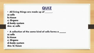 QUIZ
• All living things are made up of ______.
a) cells
b) tissue
c) Organs
d) body system
Ans. a) cells
• A collection of the same kind of cells forms a _____.
a) cells
b) tissue
c) Organs
d) body system
Ans. b) tissue
 