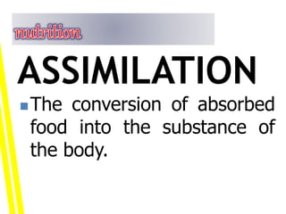 The conversion of absorbed
food into the substance of
the body.
ASSIMILATION
 