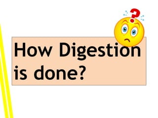 How Digestion
is done?
 