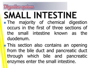  The majority of chemical digestion
occurs in the first of three sections of
the small intestine known as the
duodenum.
 This section also contains an opening
from the bile duct and pancreatic duct
through which bile and pancreatic
enzymes enter the small intestine.
SMALL INTESTINE
 