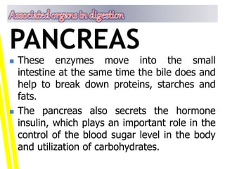  These enzymes move into the small
intestine at the same time the bile does and
help to break down proteins, starches and
fats.
 The pancreas also secrets the hormone
insulin, which plays an important role in the
control of the blood sugar level in the body
and utilization of carbohydrates.
PANCREAS
 