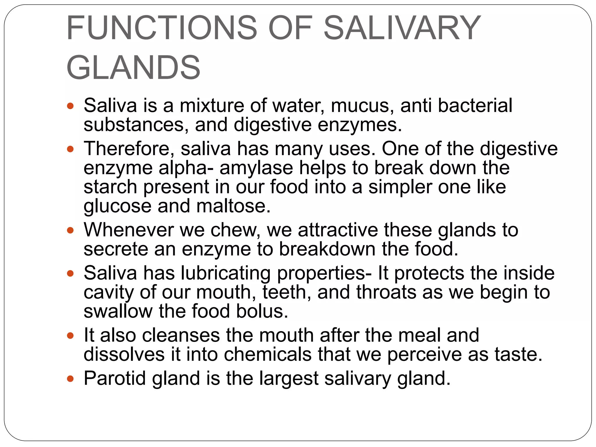 FUNCTIONS OF SALIVARY
GLANDS
 Saliva is a mixture of water, mucus, anti bacterial
substances, and digestive enzymes.
 Therefore, saliva has many uses. One of the digestive
enzyme alpha- amylase helps to break down the
starch present in our food into a simpler one like
glucose and maltose.
 Whenever we chew, we attractive these glands to
secrete an enzyme to breakdown the food.
 Saliva has lubricating properties- It protects the inside
cavity of our mouth, teeth, and throats as we begin to
swallow the food bolus.
 It also cleanses the mouth after the meal and
dissolves it into chemicals that we perceive as taste.
 Parotid gland is the largest salivary gland.
 