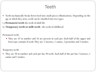 Teeth
 Teeth mechanically break down food into small pieces (Mastication). Depending on the
age at which they arise, teeth can be classified into two types
i.) Permanent teeth-the teeth of adult life
ii.) Temporary teeth or milk teeth –the teeth of childhood
Permanent teeth:
 They are 32 in number and 16 are present in each jaw. Each half of the upper and
lower jaw contains 8 teeth.They are: 2 incisors, 1 canine, 2 premolars and 3 molars.
Temporary teeth:
 They are 20 in number and each jaw has 10 teeth. Each half of the jaw has 2 incisors, 1
canine and 2 molars.
 
