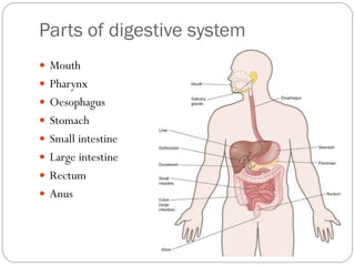 Parts of digestive system
 Mouth
 Pharynx
 Oesophagus
 Stomach
 Small intestine
 Large intestine
 Rectum
 Anus
 