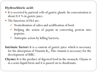 Hydrochloric acid:
 It is secreted by parietal cells of gastric glands. Its concentration is
about 0.4 % in gastric juice.
 The functions of Hcl are:
 Neutralisation of saliva and acidification of food.
 Helping the action of pepsin in converting protein into
peptone.
 Antiseptic action by killing bacteria.
Intrinsic factor: It is a content of gastric juice which is necessary
for the absorption of Vitamin B12 This vitamin is necessary for the
development of RBC.
Chyme: It is the product of digested food in the stomach. Chyme is
in a semi-liquid form and it is passed on to duodenum.
 