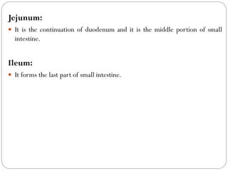 Jejunum:
 It is the continuation of duodenum and it is the middle portion of small
intestine.
Ileum:
 It forms the last part of small intestine.
 