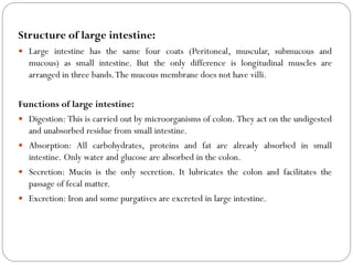 Structure of large intestine:
 Large intestine has the same four coats (Peritoneal, muscular, submucous and
mucous) as small intestine. But the only difference is longitudinal muscles are
arranged in three bands.The mucous membrane does not have villi.
Functions of large intestine:
 Digestion: This is carried out by microorganisms of colon. They act on the undigested
and unabsorbed residue from small intestine.
 Absorption: All carbohydrates, proteins and fat are already absorbed in small
intestine. Only water and glucose are absorbed in the colon.
 Secretion: Mucin is the only secretion. It lubricates the colon and facilitates the
passage of fecal matter.
 Excretion: Iron and some purgatives are excreted in large intestine.
 