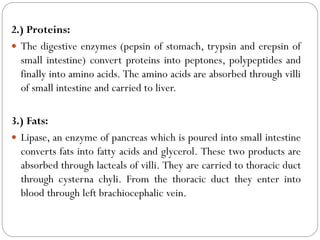 2.) Proteins:
 The digestive enzymes (pepsin of stomach, trypsin and erepsin of
small intestine) convert proteins into peptones, polypeptides and
finally into amino acids. The amino acids are absorbed through villi
of small intestine and carried to liver.
3.) Fats:
 Lipase, an enzyme of pancreas which is poured into small intestine
converts fats into fatty acids and glycerol. These two products are
absorbed through lacteals of villi. They are carried to thoracic duct
through cysterna chyli. From the thoracic duct they enter into
blood through left brachiocephalic vein.
 