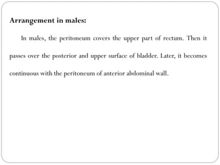 Arrangement in males:
In males, the peritoneum covers the upper part of rectum. Then it
passes over the posterior and upper surface of bladder. Later, it becomes
continuous with the peritoneum of anterior abdominal wall.
 