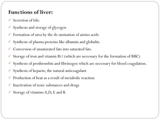Functions of liver:
 Secretion of bile.
 Synthesis and storage of glycogen
 Formation of urea by the de-amination of amino acids
 Synthesis of plasma proteins like albumin and globulin.
 Conversion of unsaturated fats into saturated fats.
 Storage of iron and vitamin B12 (which are necessary for the formation of RBC)
 Synthesis of prothrombin and fibrinogen which are necessary for blood coagulation.
 Synthesis of heparin, the natural anticoagulant
 Production of heat as a result of metabolic reaction
 Inactivation of toxic substances and drugs
 Storage of vitamins A,D, E and K
 