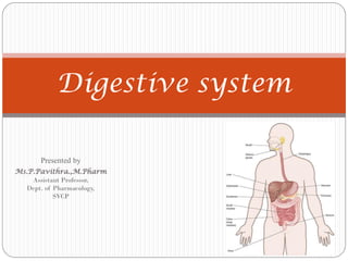 Digestive system
Presented by
Ms.P.Pavithra.,M.Pharm
Assistant Professor,
Dept. of Pharmacology,
SVCP
 