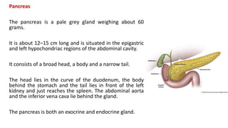 Pancreas
The pancreas is a pale grey gland weighing about 60
grams.
It is about 12–15 cm long and is situated in the epigastric
and left hypochondriac regions of the abdominal cavity.
It consists of a broad head, a body and a narrow tail.
The head lies in the curve of the duodenum, the body
behind the stomach and the tail lies in front of the left
kidney and just reaches the spleen. The abdominal aorta
and the inferior vena cava lie behind the gland.
The pancreas is both an exocrine and endocrine gland.
 