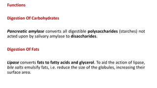 Functions
Digestion Of Carbohydrates
Pancreatic amylase converts all digestible polysaccharides (starches) not
acted upon by salivary amylase to disaccharides.
Digestion Of Fats
Lipase converts fats to fatty acids and glycerol. To aid the action of lipase,
bile salts emulsify fats, i.e. reduce the size of the globules, increasing their
surface area.
 
