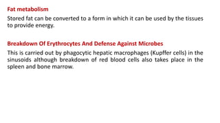 Fat metabolism
Stored fat can be converted to a form in which it can be used by the tissues
to provide energy.
Breakdown Of Erythrocytes And Defense Against Microbes
This is carried out by phagocytic hepatic macrophages (Kupffer cells) in the
sinusoids although breakdown of red blood cells also takes place in the
spleen and bone marrow.
 
