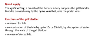 Blood supply
The cystic artery, a branch of the hepatic artery, supplies the gall bladder.
Blood is drained away by the cystic vein that joins the portal vein.
Functions of the gall bladder
• reservoir for bile
• concentration of the bile by up to 10- or 15-fold, by absorption of water
through the walls of the gall bladder
• release of stored bile.
 