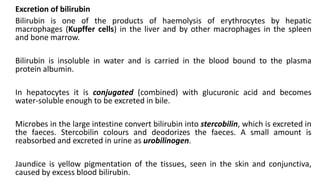 Excretion of bilirubin
Bilirubin is one of the products of haemolysis of erythrocytes by hepatic
macrophages (Kupffer cells) in the liver and by other macrophages in the spleen
and bone marrow.
Bilirubin is insoluble in water and is carried in the blood bound to the plasma
protein albumin.
In hepatocytes it is conjugated (combined) with glucuronic acid and becomes
water-soluble enough to be excreted in bile.
Microbes in the large intestine convert bilirubin into stercobilin, which is excreted in
the faeces. Stercobilin colours and deodorizes the faeces. A small amount is
reabsorbed and excreted in urine as urobilinogen.
Jaundice is yellow pigmentation of the tissues, seen in the skin and conjunctiva,
caused by excess blood bilirubin.
 