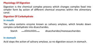 Physiology Of Digestion
Digestion is the chemical complex process which changes complex food into
simpler form by action of different chemical enzymes within the alimentary
canal.
Digestion Of Carbohydrate
In mouth
The saliva contains enzyme known as salivary amylase, which breaks down
complex carbohydrate into disaccharides.
Starch salivary amylase disaccharides/monosaccharides
In stomach
Acid stops the action of salivary amylase, so no digestion occurs in stomach.
 