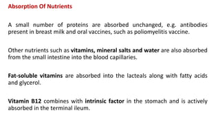 Absorption Of Nutrients
A small number of proteins are absorbed unchanged, e.g. antibodies
present in breast milk and oral vaccines, such as poliomyelitis vaccine.
Other nutrients such as vitamins, mineral salts and water are also absorbed
from the small intestine into the blood capillaries.
Fat-soluble vitamins are absorbed into the lacteals along with fatty acids
and glycerol.
Vitamin B12 combines with intrinsic factor in the stomach and is actively
absorbed in the terminal ileum.
 