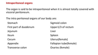 Intraperitoneal organs
The organ is said to be intraperitoneal when it is almost totally covered with
visceral peritoneum.
The intra peritoneal organs of our body are:
Stomach
First part of duodenum
Jejunum
Ileum
Cecum
Appendix
Transverse colon
Sigmoid colon
Upper1/3 of rectum
Liver
Spleen
Uterus(female)
Fallopian tube(female)
Ovaries (female)
 